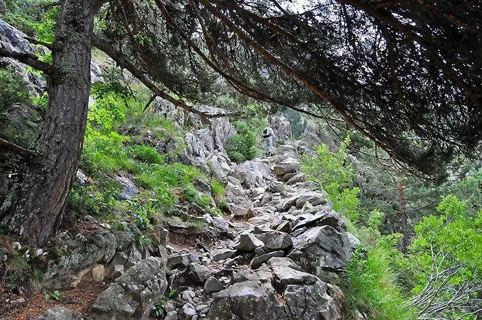 Una nueva ruta por el Pirineo aragon&eacute;s nos lleva a realizar esta excursi&oacute;n hacia los ibones de Bachima&ntilde;a que comienza en el Balneario de Panticosa, junto al refugio de la Casa de Piedra.
Victor Sancho