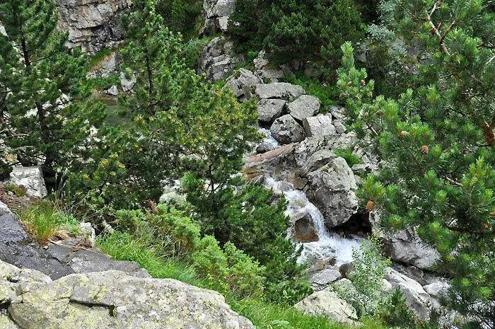 En esta instant&aacute;nea os mostramos la belleza del barranco de Caldar&eacute;s.
Victor Sancho