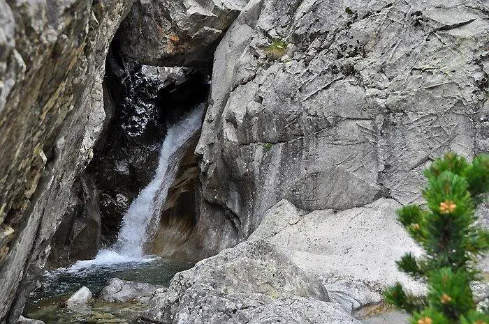 El agua transcurre por el lugar, dando vida a la flora y fauna y conviertiendo la estampa en una imagen que se queda fija en la retina.
Victor Sancho