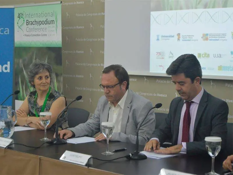 Se dan cita 127 participantes, de 21 pa&iacute;ses y cuatro continentes
