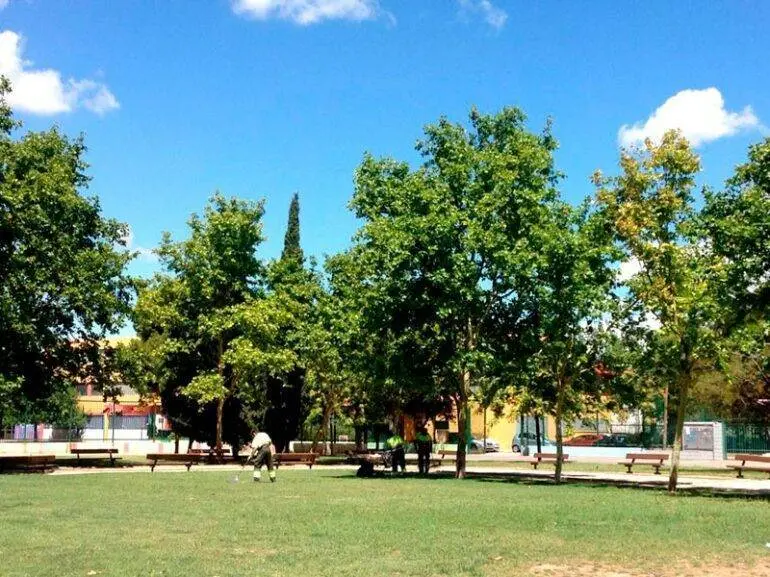Los trabajadores de Parques y Jardines contin&uacute;an de huelga