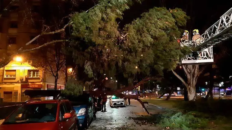Las fuertes rachas de viento han derribado &aacute;rboles que han ca&iacute;do sobre coches