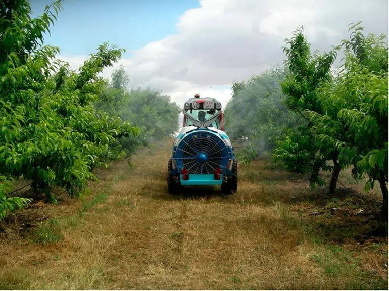 M&aacute;s de 1.500 j&oacute;venes se han incorporado en los &uacute;ltimos cinco a&ntilde;os a este modelo de agricultura familiar