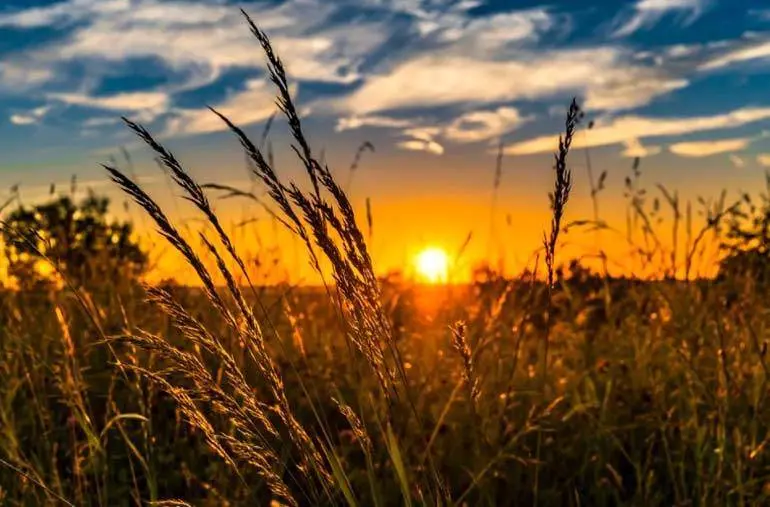 El an&aacute;lisis indica que el cambio clim&aacute;tico representa la mayor amenaza a largo plazo para la econom&iacute;a mundial
