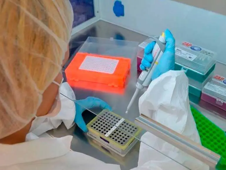 

Un total de 15 proyectos empresariales vinculados a la movilidad sostenible y al sector farmac&eacute;utico, que incluyen desarrollo experimental e investigaci&oacute;n industrial, se beneficiar&aacute;n de las ayudas