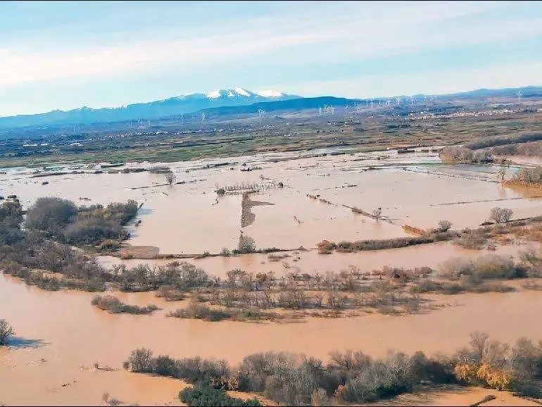 Las previsiones de la CHE pusieron en alerta a todas las poblaciones de la ribera e hizo posible el desalojo y traslado de los animales