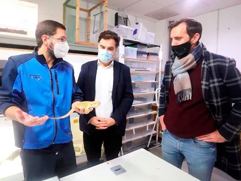 El Acuario de Zaragoza y el Ayuntamiento de la ciudad han impulsado la iniciativa "Un animal no es un juguete"