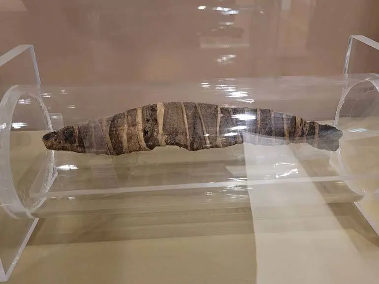 Una de las piezas expuestas en el Museo de Huesca 