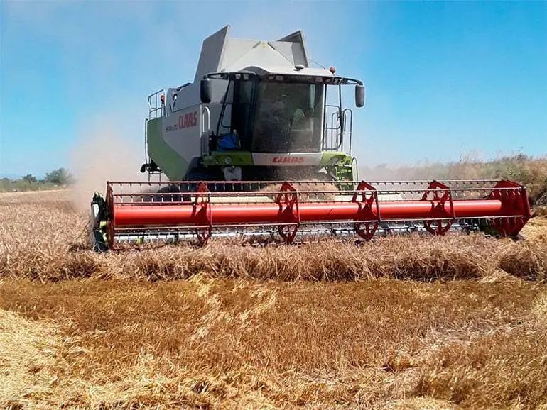 Olona ha resaltado que el mayor problema que existe en Arag&oacute;n y Espa&ntilde;a es que &ldquo;somos grandes productores ecol&oacute;gicos, pero d&eacute;biles consumidores&rdquo;