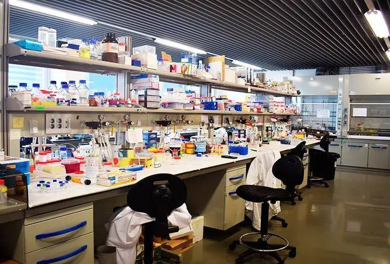 Las tecnolog&iacute;as PET y Tomograf&iacute;a Computarizada detectan la diseminaci&oacute;n del c&aacute;ncer de pr&oacute;stata con una precisi&oacute;n del 92%