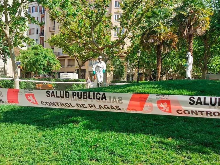 Todos los puntos ser&aacute;n acotados y debidamente se&ntilde;alizados