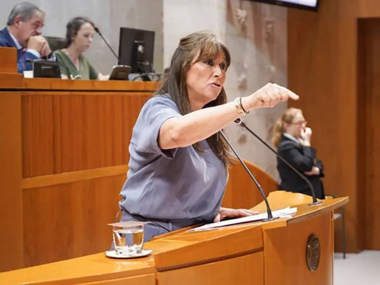 La consejera de Sanidad, Sira Repoll&eacute;s, durante su intervenci&oacute;n. Foto: Cortes de Arag&oacute;n 