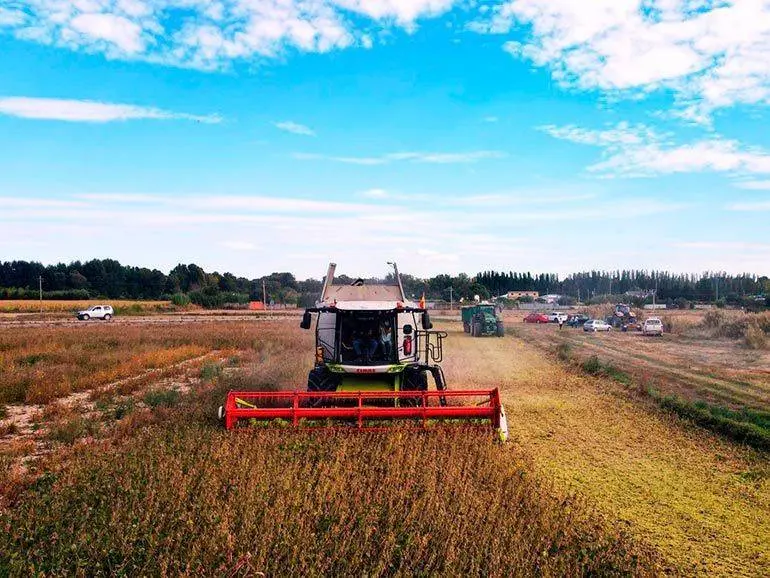 La Consejer&iacute;a ha impulsado la nueva Ley de Dinamizaci&oacute;n del Medio Rural