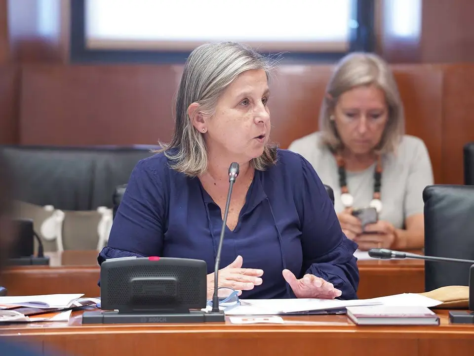 La parlamentaria Beatriz Garc&iacute;a particip&oacute; en la comisi&oacute;n de este lunes donde se trat&oacute; la norma