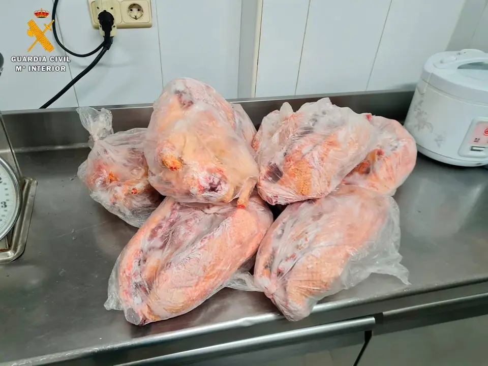 Seis patos congelados amontonados en una encimera
