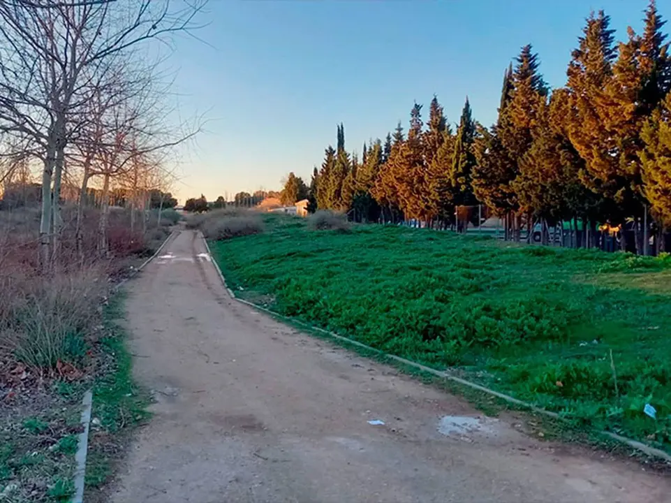 Imagen del Anillo Verde 