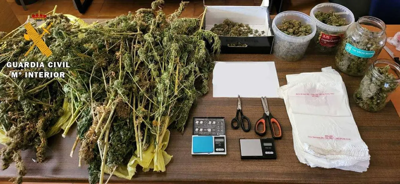 Marihuana Mall&eacute;n