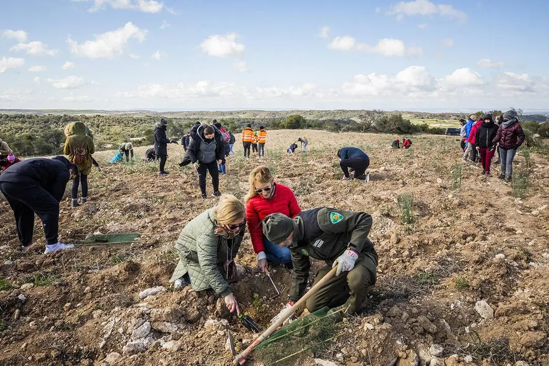 Vecinos plantando en el monte de Pe&ntilde;aflor