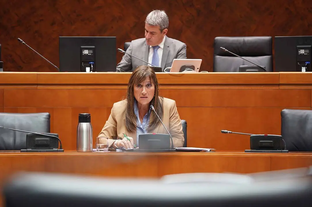 Estar&aacute; en funcionamiento a comienzos de 2023