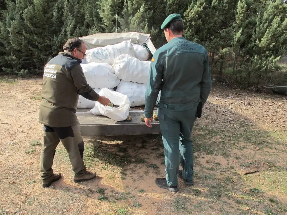 La furgoneta se desplaz&oacute; desde Ciudad Real y conten&iacute;a quince sacos de pi&ntilde;as de pinos