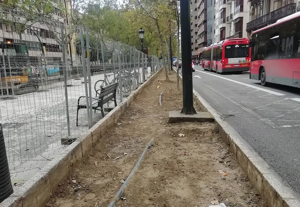 Alcorques sin vegetaci&oacute;n en el paseo de Sagasta