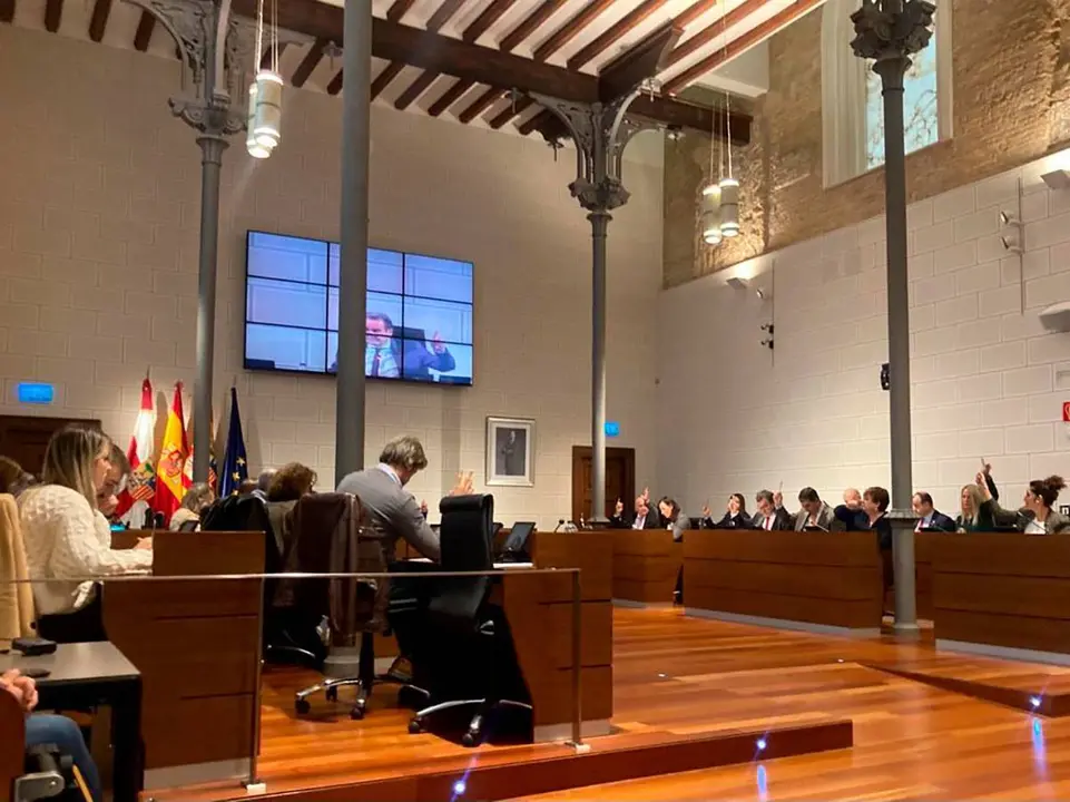 Pleno de la DPZ