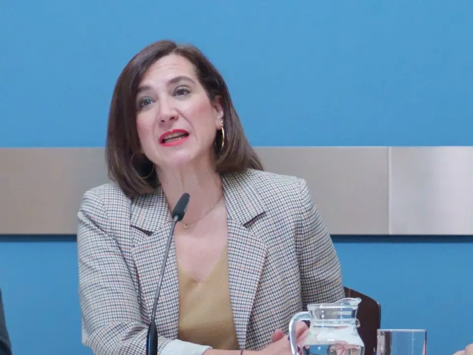 Sara Fern&aacute;ndez en una rueda de prensa