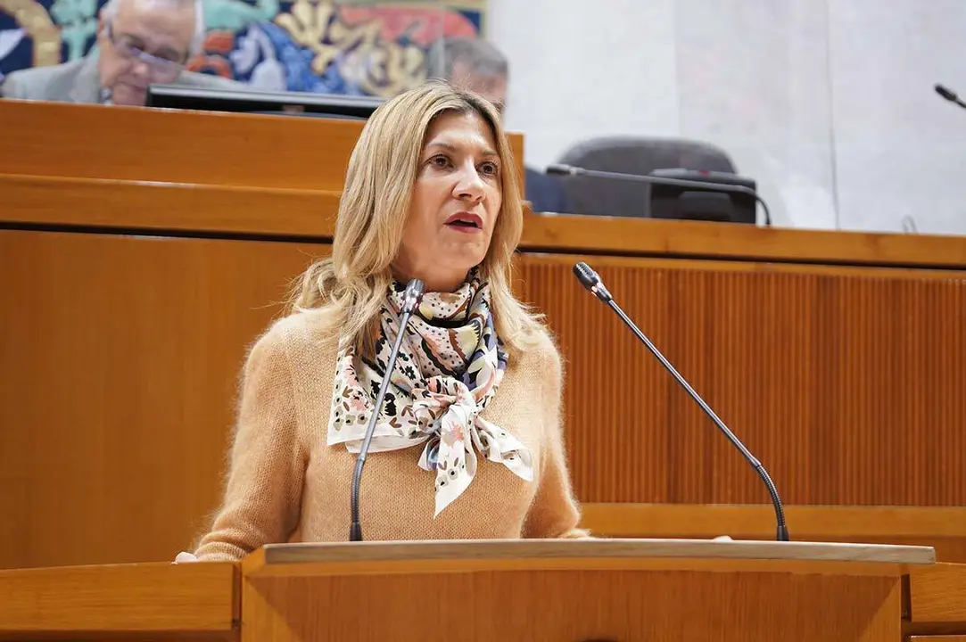 Afean a Goikoetxea que su &uacute;nica experiencia sea "ser activista del 8M"