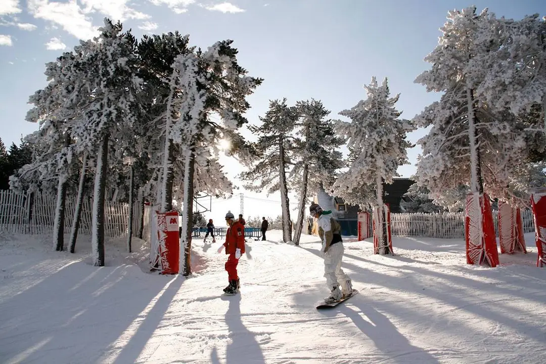 Esquiadores en la nieve