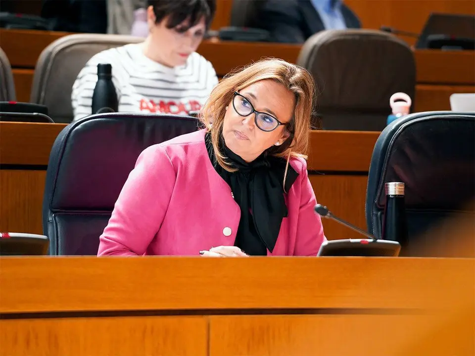 P&eacute;rez no ha dudado de que el PAR ha sido clave para dar &ldquo;estabilidad&rdquo; al Ejecutivo en esta legislatura