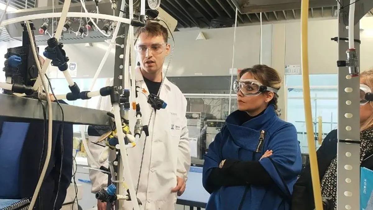 El programa de ayudas contratar&aacute; a 65 investigadores predoctorales