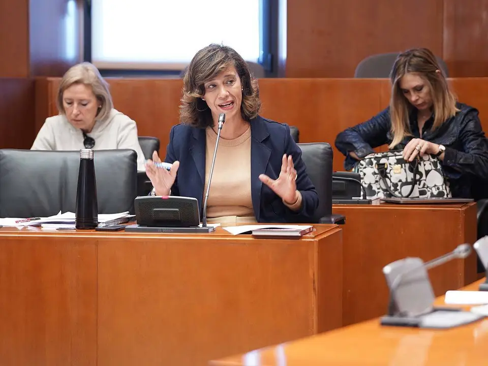 Los populares tienden la mano al Gobierno para debatir la norma