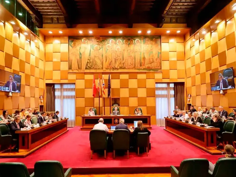 Pleno de Zaragoza