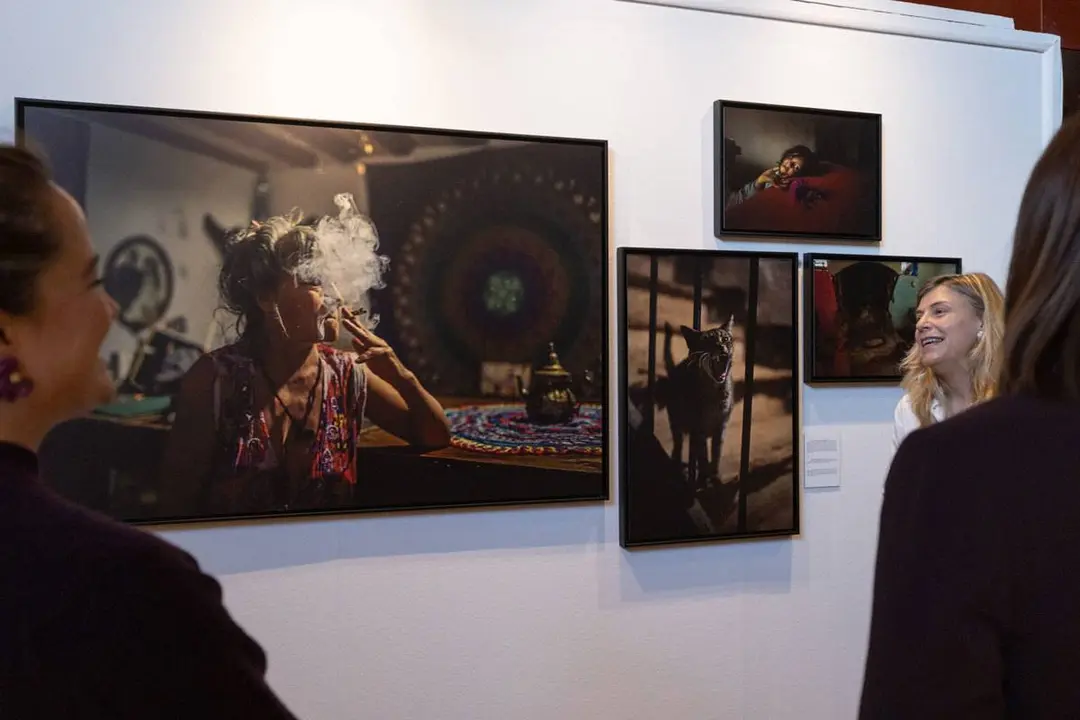 Exposici&oacute;n
