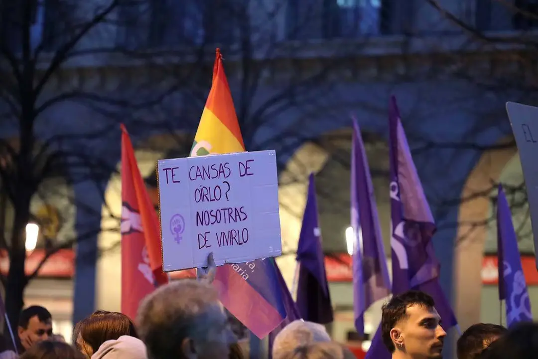 pancartas en el 8M