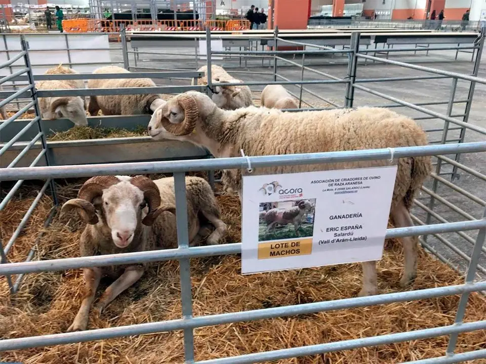 Desde las organizaciones agrarias agradecen la colaboraci&oacute;n y la receptividad de Feria de Zaragoza. Foto de archivo