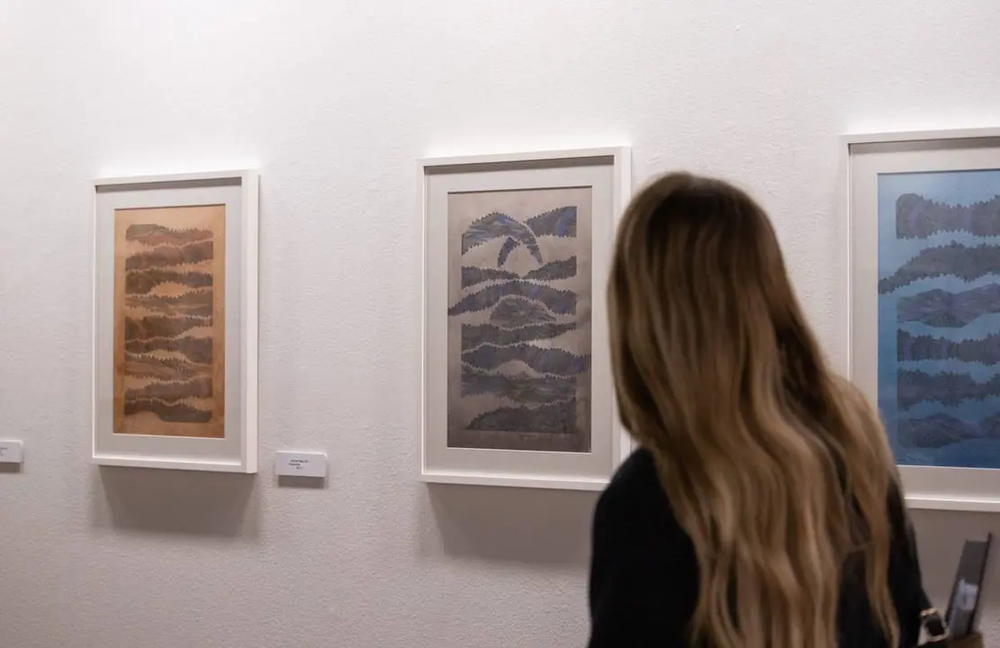 Exposici&oacute;n Palacio de Montemuzo