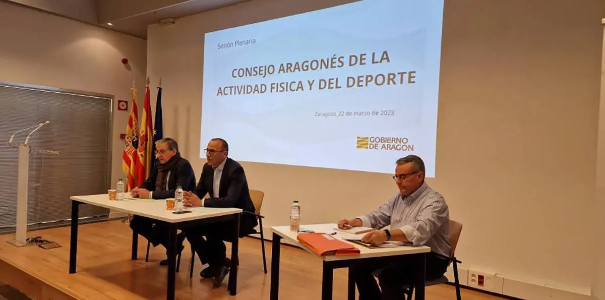 La propuesta ha sido presentada este martes ante el Consejo Aragon&eacute;s del Deporte