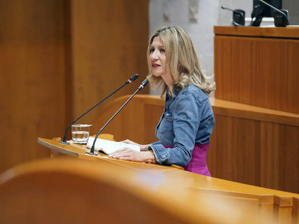 La popular Mar Vaquero cree que Lamb&aacute;n se ha limitado a dar un &ldquo;mitin&rdquo; desde el hemiciclo