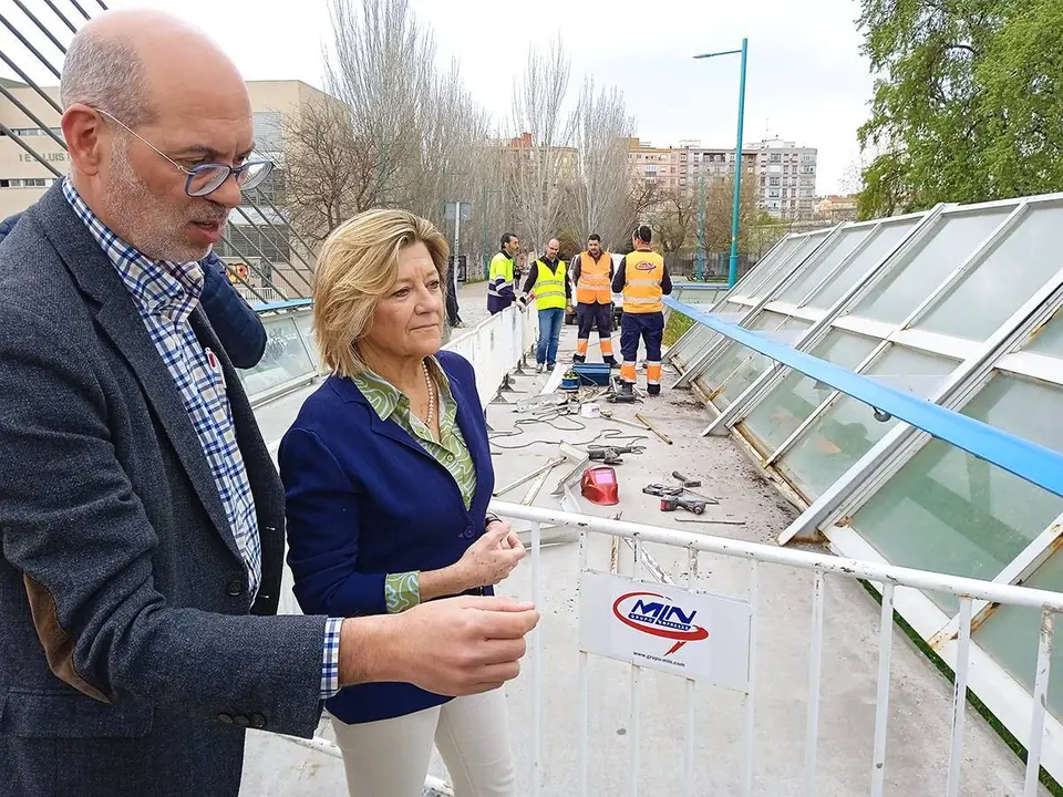En la &uacute;ltima legislatura se han sustituido 63 de los 450 vidrios del puente