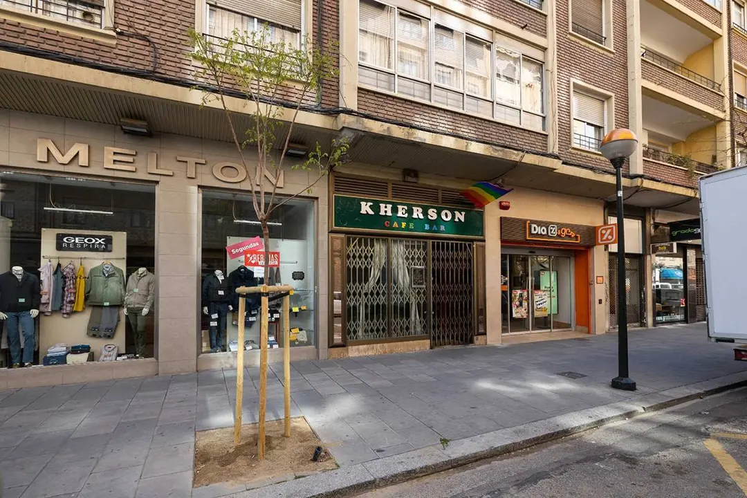 plantaci&oacute;n de &aacute;rboles en alcorques de la v&iacute;a p&uacute;blica de Zaragoza