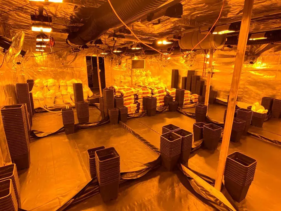 Dentro se pod&iacute;an cultivar hasta 2.000 plantas
