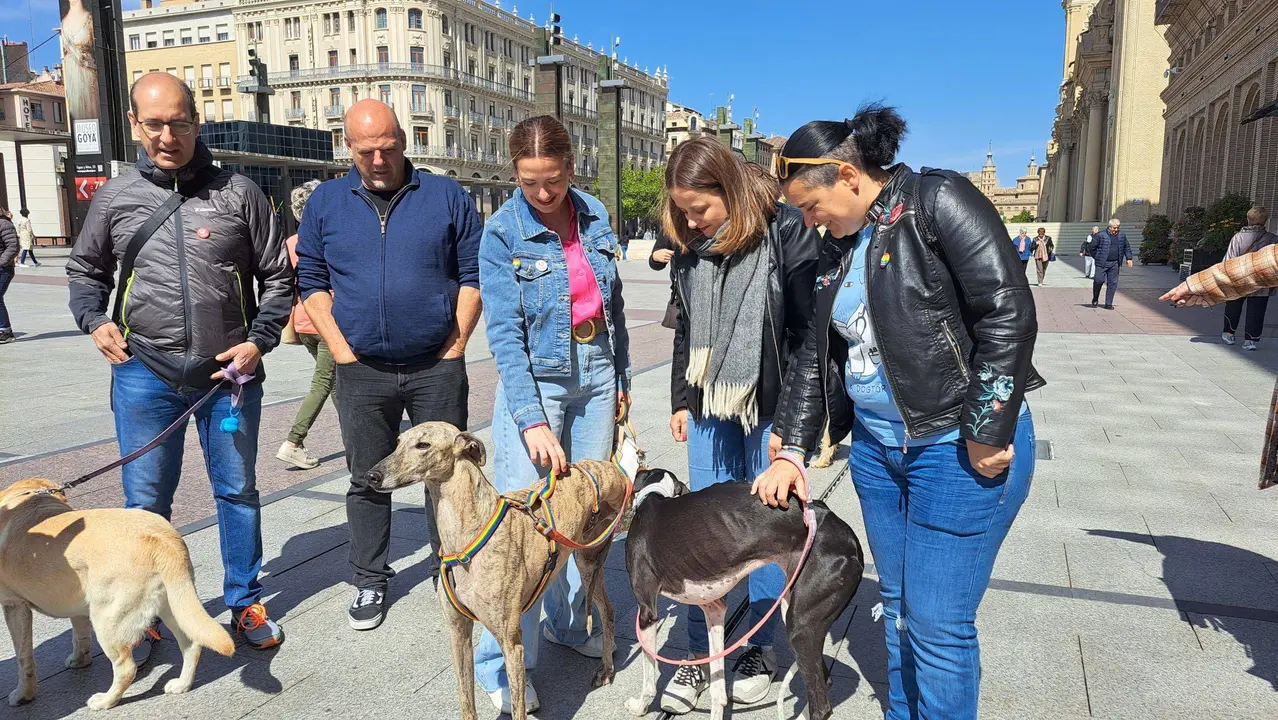 Elena Tom&aacute;s ha destacado la labor de la protectora Zarpa