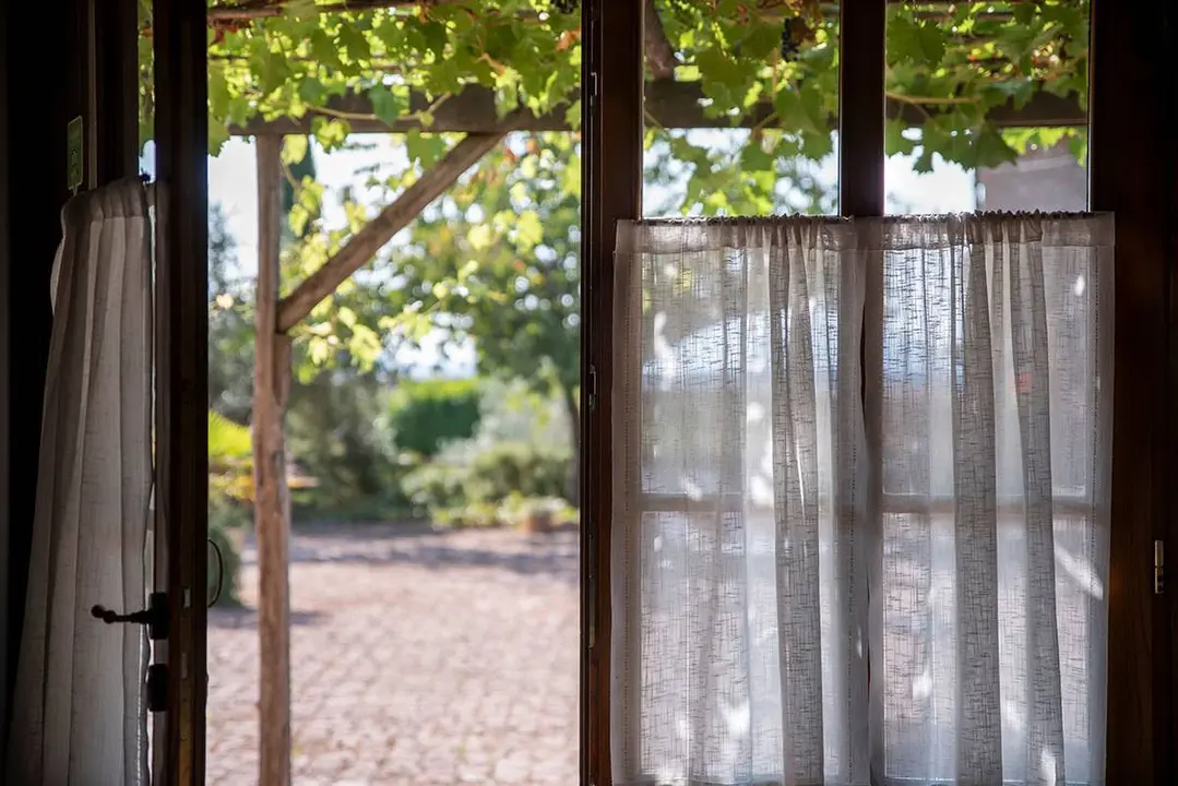 Acceso a un jard&iacute;n de una casa particular