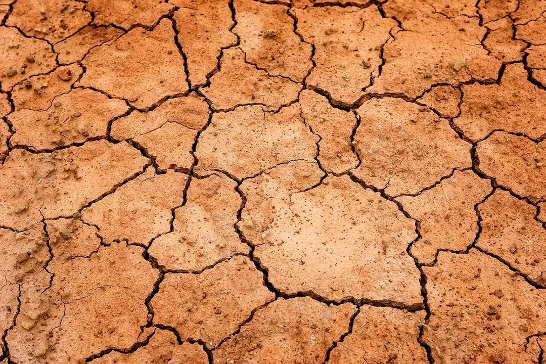 tierra seca