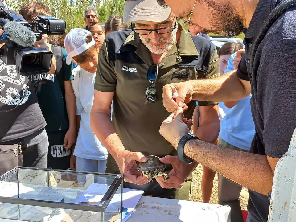Tortugas gal&aacute;pagos europeos Zaragoza r&iacute;o G&aacute;llego