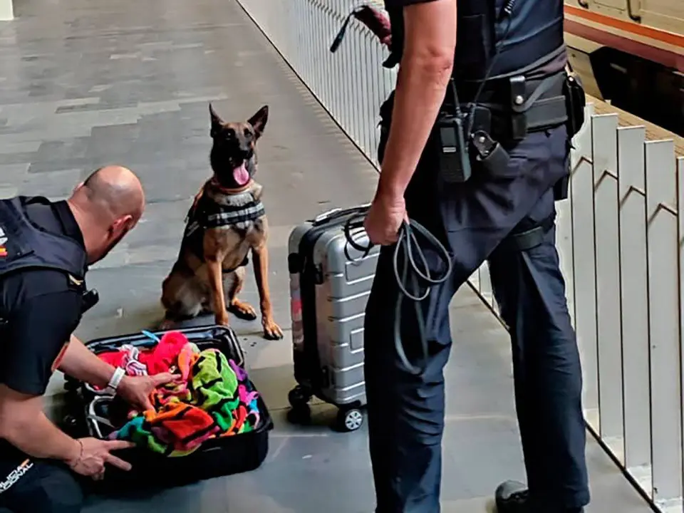 La perra Lua junto a los agentes de polic&iacute;a rebuscando en la maleta