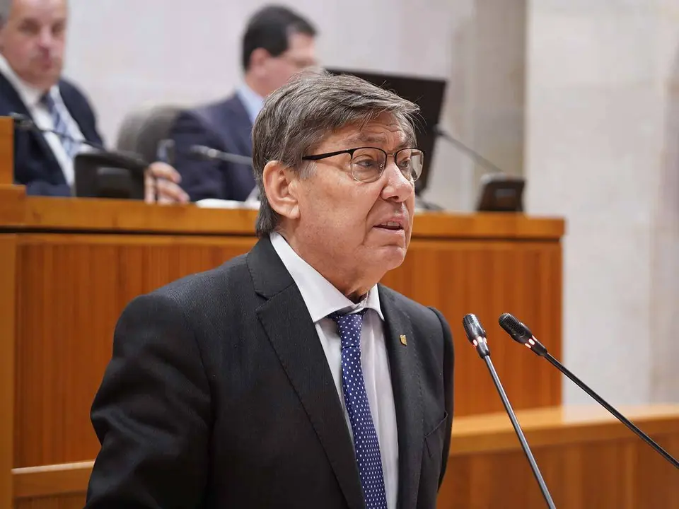 La diputada auton&oacute;mica, Esther Peirat, tambi&eacute;n ha sido expulsada alegando el mismo motivo | Foto: Cortes de Arag&oacute;n