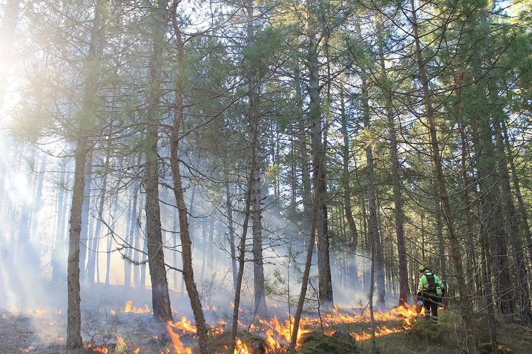 bombero forestal trabajando en la extinci&oacute;n de un incendio