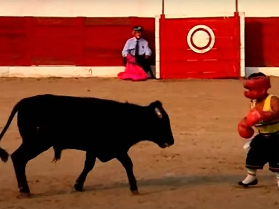 El Comit&eacute; de entidades de representantes de personas con discapacidad de Arag&oacute;n (Cermi Arag&oacute;n), insta en que se suspenda el espect&aacute;culo c&oacute;mico taurino.